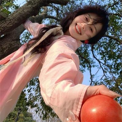 凤舞龙翔